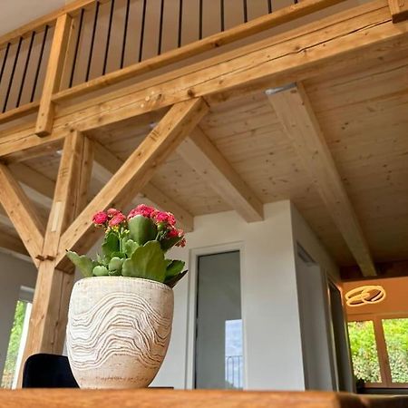 Zur Donauinsel Apartment Бад Абах Екстериор снимка